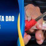 Đá Gà Cựa Dao - Đấu Trường Mãn Nhãn Kịch Tính Nhất O8 1 Đá Gà Cựa Dao - Đấu Trường Mãn Nhãn Kịch Tính Nhất O8