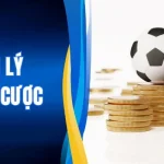 Quản Lý Vốn Cá Cược| Nền Móng Quyết Định Thắng Thua